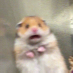 Lmsy Sylm GIF