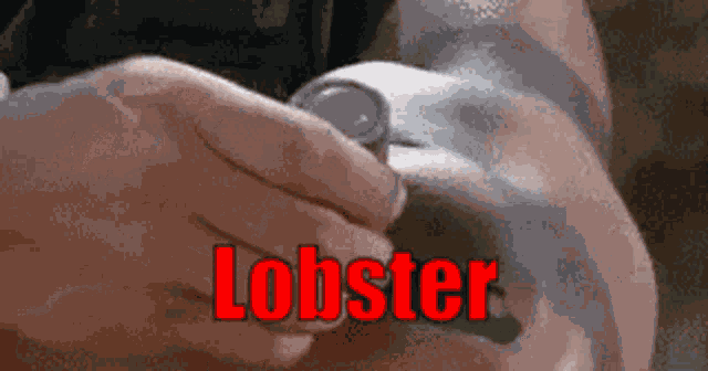 Lobster GIF