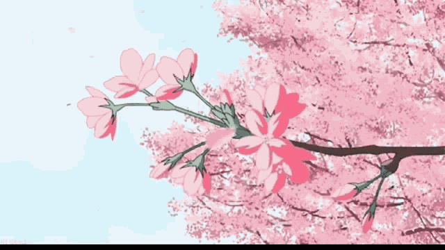 Lofi Sakura GIF