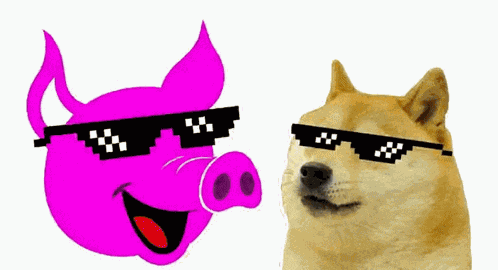 Lolcoin Dogecoin GIF