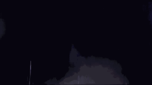 Loneliness Pellek GIF