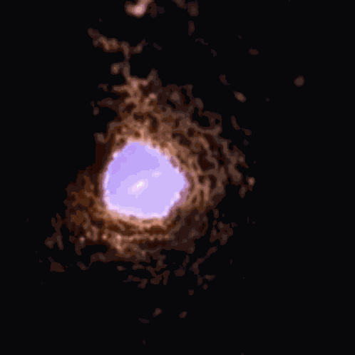 Look Down A Hole Rabbit Hole GIF