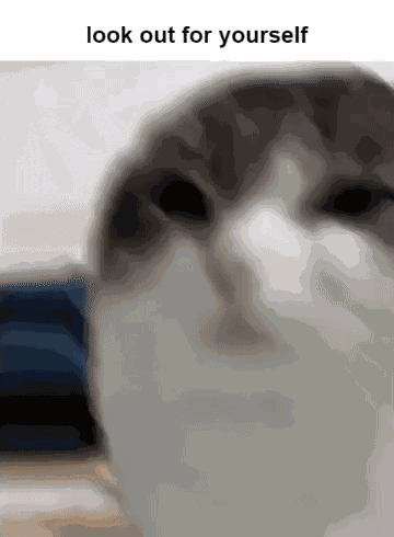 Look Out For Yourself Wawa Cat GIF
