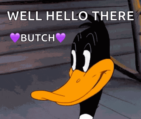Looney Tunes Daffy Duck GIF