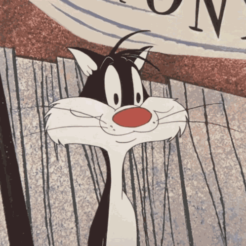 Looney Tunes Looney Toons GIF