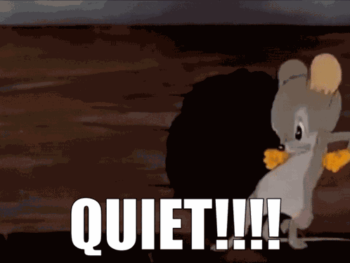 Looney Tunes Quiet GIF