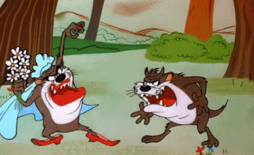 Loony Tunes Taz GIF