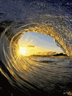 Loop Ocean GIF