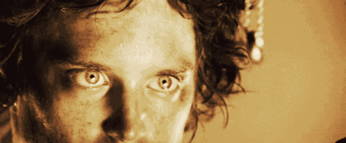 Lord Of The Rings Frodo GIF