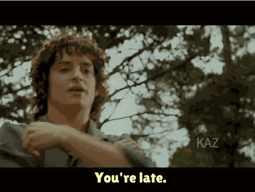 Lord Of The Rings Gandalf A Wizard Is Never Late Frodo Baggins Fotr The Lord Of The Rings GIF