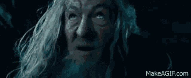Lotr Gandalf GIF