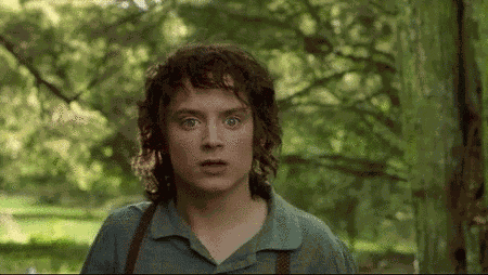 Lotr Lord Of The Rings GIF