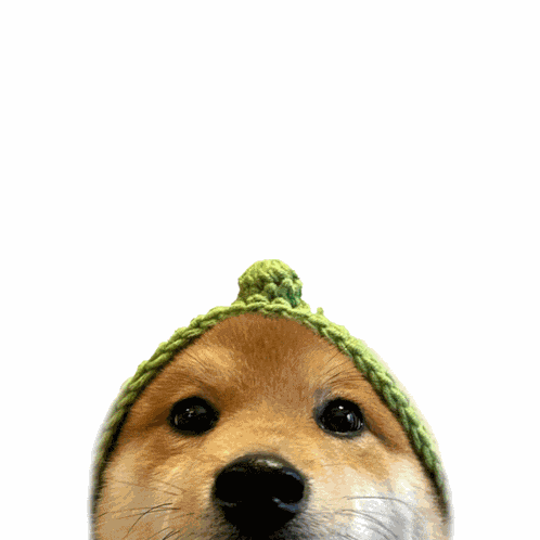 Loucoinonsol Appreciate You GIF