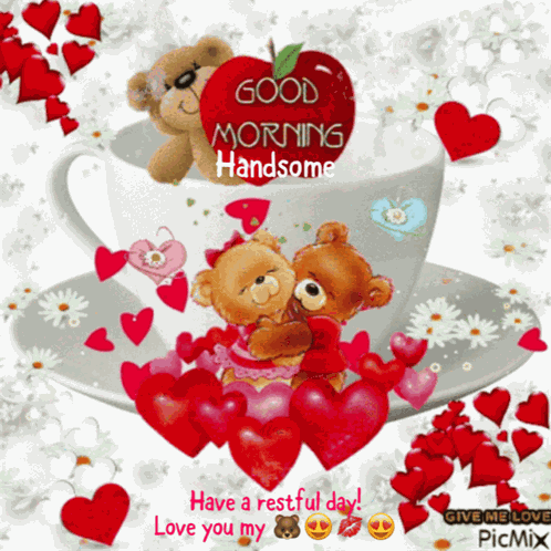 Love Bears Cute Bears GIF