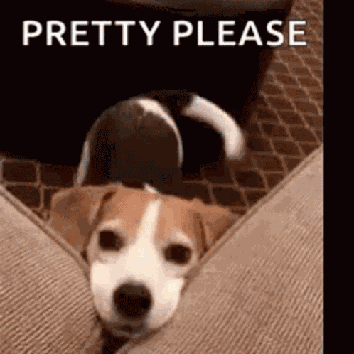 Love Cute GIF
