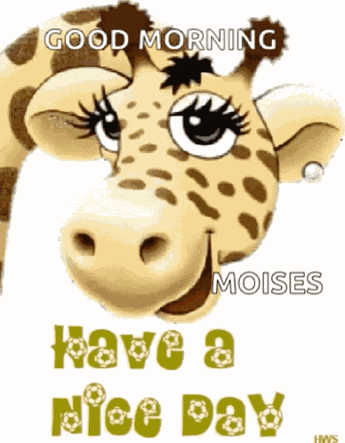 Love Have A Nice Day GIF