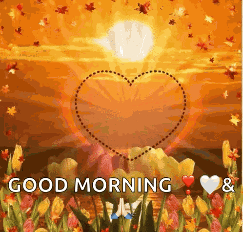 Love Heart GIF