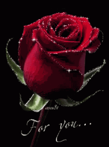 Love Rose57 Roserred57 GIF