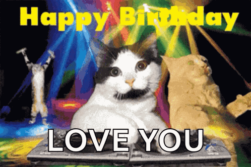 Love Sis GIF