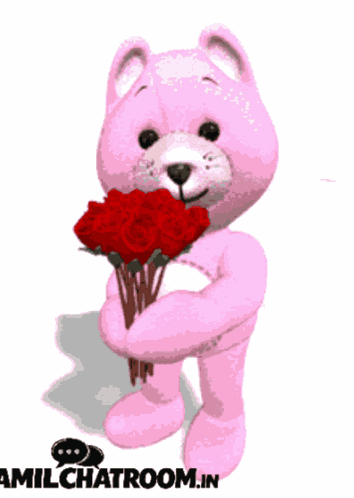 Love Tcr GIF