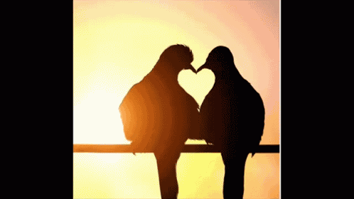 Love You Love GIF