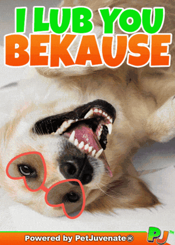 Love You Love You Because GIF