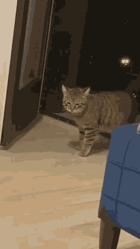 Love You GIF