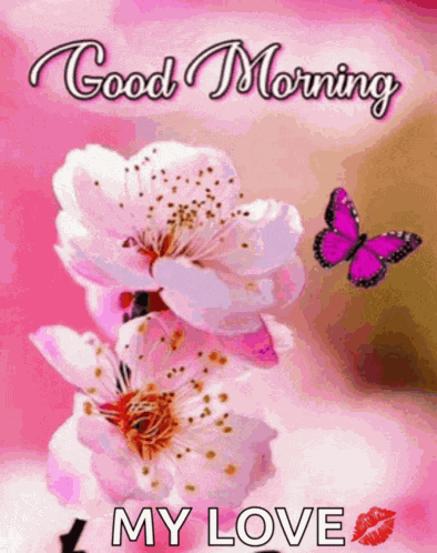 Love You Seven Times Meme