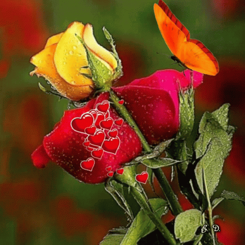 Lovely Day GIF