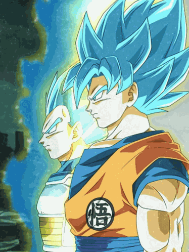 Lr Agl Super Saiyan God Ss Goku And Super Saiyan God Ss Vegeta All Out Final Battle GIF
