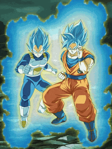 Lr Agl Super Saiyan God Ss Goku And Super Saiyan God Ss Vegeta All Out Final Battle GIF