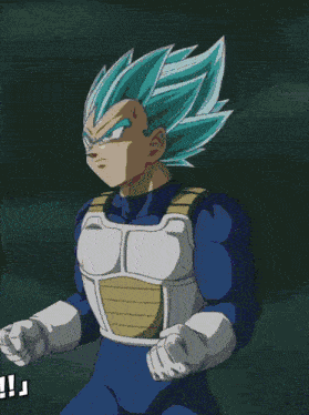 Lr Goku And Vegeta Str Goku And Vegeta GIF