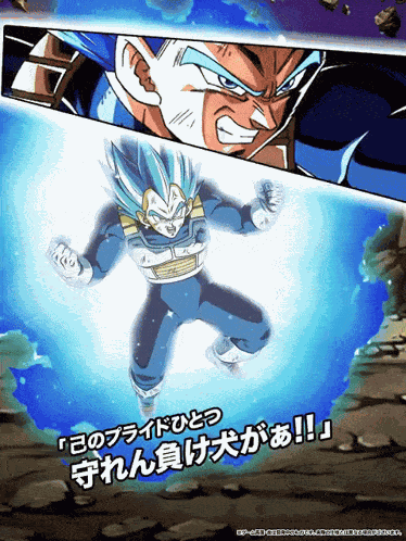 Lr Str Super Saiyan God Ss Evolved Vegeta Fight To Protect Pride And Keep Oaths GIF