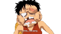 Luffy One Piece Sticker
