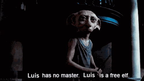 Luis Is A Free Elf Elf Luis GIF