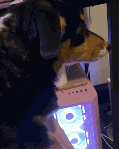 Lulu Side Eye Judge GIF