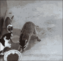 Lunch Time Happy Lunch Time GIF