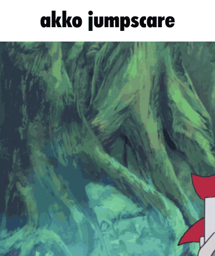 Lwa Akko GIF