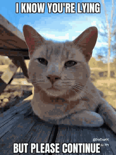 Lying Liar GIF
