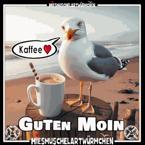 Möwe Kaffee GIF