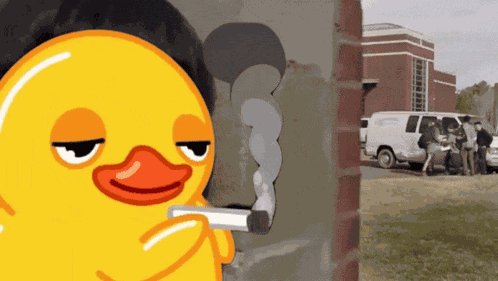 Ma Duck Smoking GIF