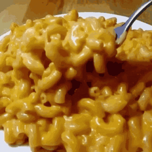 Mac And Cheese Pasta GIF