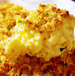 Mac And Cheese Pasta GIF