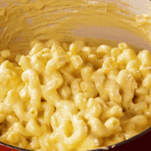 Mac And Cheese Pasta GIF