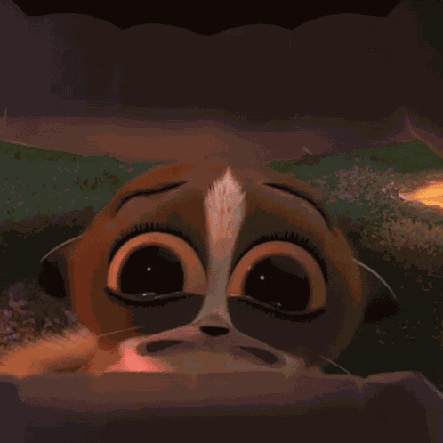 Madagascar Mort Madagascar GIF