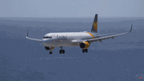 Madeira Airport A320 GIF