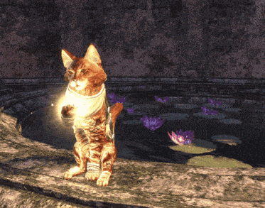 Magic Cat Eso GIF