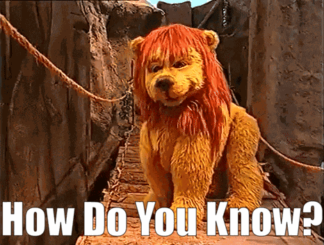 Magic Mountain Lion GIF