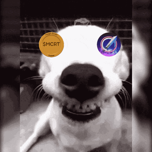 Magiccraftgifs Magiccraftgame GIF