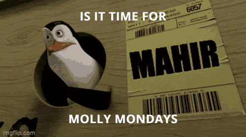 Mahir Molly GIF